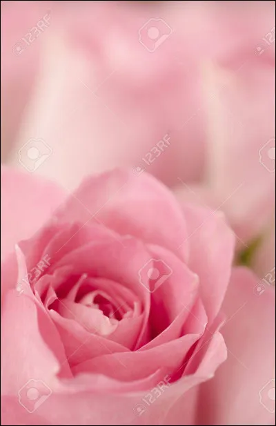 De quelle couleur est le sang ?