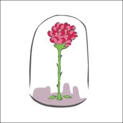 Cliquez sur la bonne réponse :