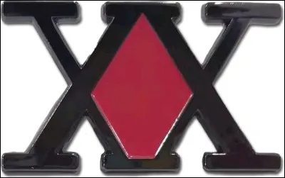 Pourquoi Kirua veut-il devenir Hunter ?