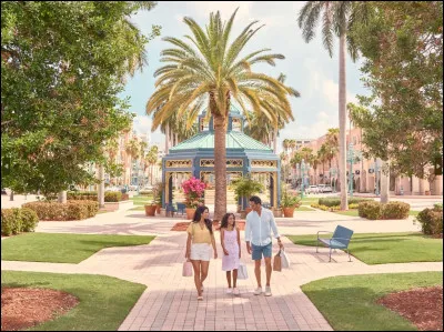 Que fais-tu quand tu as du temps libre ?