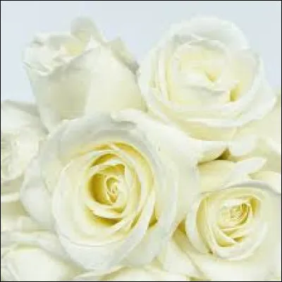 Ayant eu plusieurs interprètes, ''Les Roses blanches'' a connu le succès grâce à Berthe Silva. Vrai ou faux ?