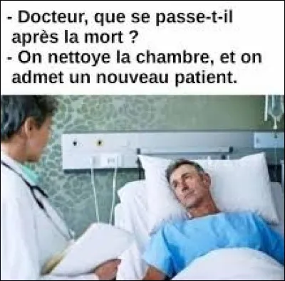 Je suis convaincu que la chanson ''Tant de belles choses'' est un titre interprété par Véronique Sanson en 2004.