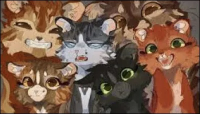 Y a-t-il, à ce jour (cycle 9), des descendants du Clan du Vent dans le Clan du Tonnerre ?