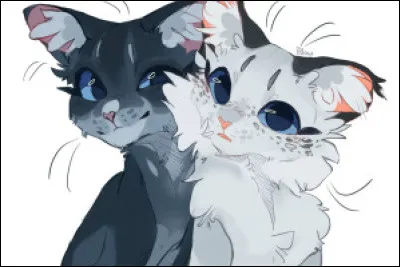 Combien de chatons Étoile Solitaire a-t-il eus ?