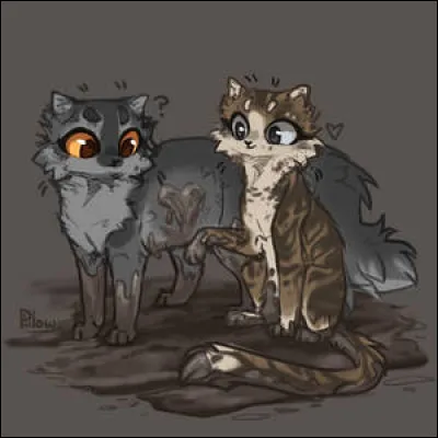 Qui sont les compagnes de ces félins ?