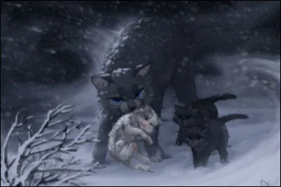 Qui dans le Clan de la Rivière (y a déjà vécu un jour en tout cas) possède du sang du Clan du Vent ?