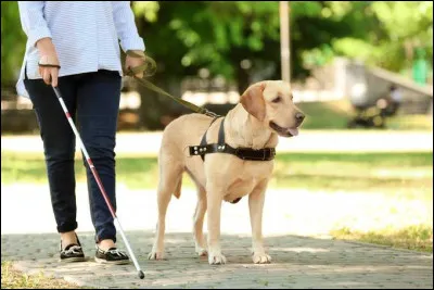 Un handicap est toujours définitif, vrai ou faux ?