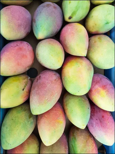 L'image ci-dessus repr&eacute;sente...