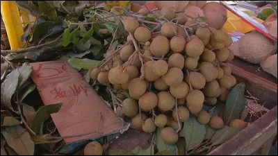 Et cette image ci-dessus repr&eacute;sente...