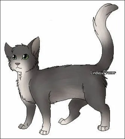 Gris Poil, du cycle 5, aima quatre chattes.