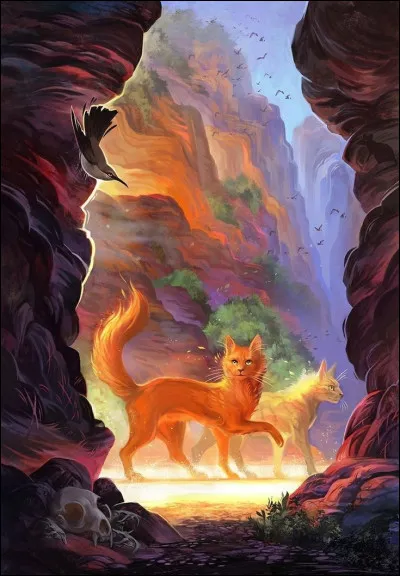 Trois chattes aimèrent Étoile de Feu :