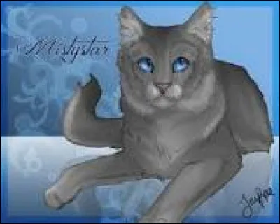 Ta m&egrave;re, Plume de Bourrache, est finalement nomm&eacute;e lieutenante. Comment r&eacute;agis-tu &agrave; la nouvelle ?