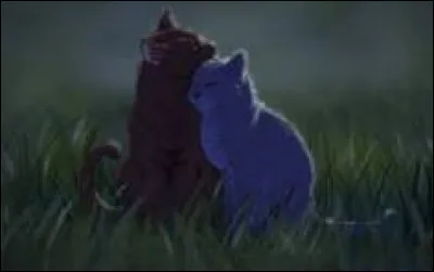 Vous vous rapprochez finalement. Vous devenez un couple, mais o&ugrave; vous rencontrez-vous, pour vous parler ?