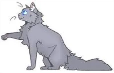 Oh non ! Tu attends des chatons. Ta m&egrave;re te demande de qui. Que lui r&eacute;ponds-tu ?