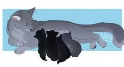 Tu as tes chatons, maintenant. Tu as dit que son p&egrave;re &eacute;tait Aiguille de Sapin, tu n'auras pas de probl&egrave;me... en plus, il ressemble &agrave; C�ur de Loir, le v&eacute;ritable p&egrave;re.