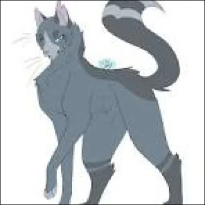 Et celui-ci, comment le nommes-tu ? Un matou gris-bleu avec quelques taches plus sombres, comme tu peux le voir, et des yeux bleus remarquables.