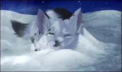 Et la derni&egrave;re, une femelle blanche tachet&eacute;e de gris sombre, comment la nommes-tu ?