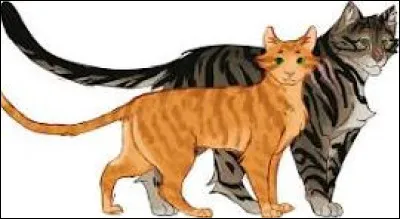 Quel cycle pr&eacute;f&egrave;res-tu ?