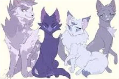 Quel est le meilleur moment de la journ&eacute;e, selon toi ?