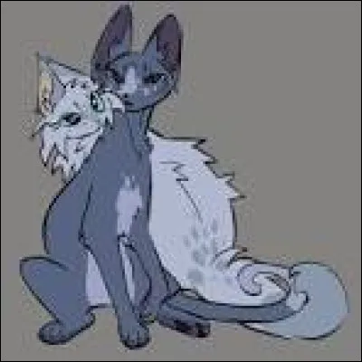 Tr&egrave;s bien ! Maintenant, cr&eacute;ons une histoire. Tu es n&eacute;e dans le Clan du Tonnerre, et tu es une chatonne nomm&eacute;e Petite Brume, tu as un pelage gris-bleu tr&egrave;s rare, tout de m&ecirc;me, et des yeux bleus. Ta m&egrave;re te demande de qui tu voudrais devenir le mentor. Que lui r&eacute;ponds-tu ?