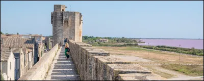 Depuis les remparts édifiés à la fin du XIIIe siècle, vous dominez les étangs de la petite Camargue : vous êtes à ...