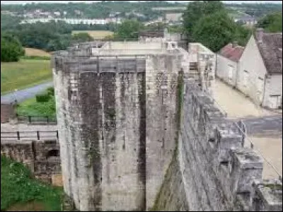 Il ne reste qu'une partie de la grande enceinte médiévale de cette ville d'Île de France :