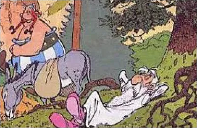 Comment se nomme le druide du village corse ?