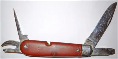 Au 13 mars 2023, quel pays est 29e au classement IRB ?