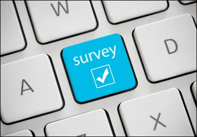 Traduisez en français : « to survey ».