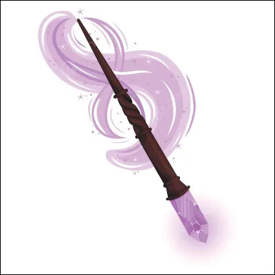 Le héros est un sorcier :