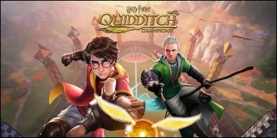Il y a un sport qui s'appelle le Quidditch :