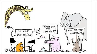 Parmi les espèces suivantes, laquelle appartient à la famille des vertébrés ?