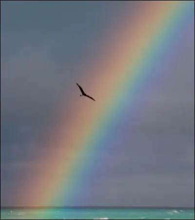 Quelles sont les trois couleurs primaires ?