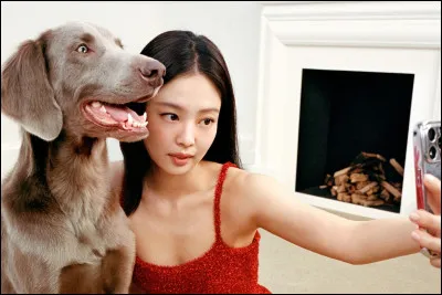 Quel est ton animal pr&eacute;f&eacute;r&eacute; ?