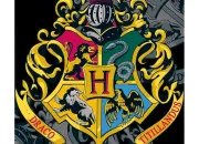 Test  quelle maison de ''Harry Potter'' appartiens-tu ?
