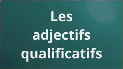 Quel adjectif te décrit le plus ?