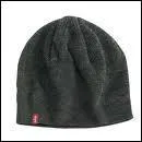 Quelle est cette coiffe ?