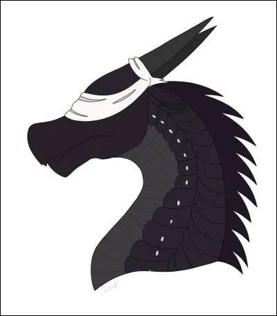 Com&egrave;te, dans le premier tome, est amoureux de Sunny.