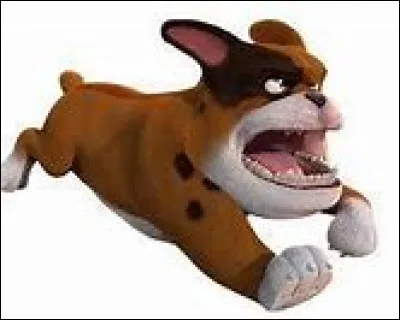 Qui est ce Bulldog ?