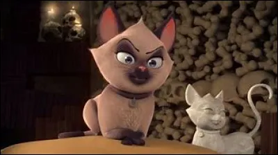 Comment s'appelle cette chatte ?