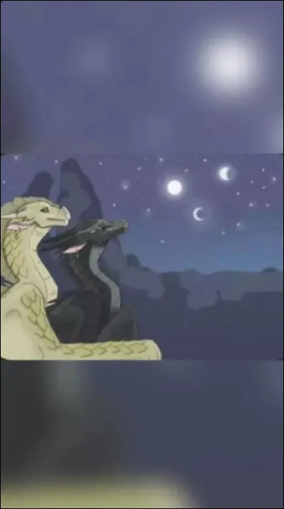 Quelle image pr&eacute;f&egrave;res-tu ?