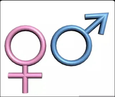 La question de base (que j'ai compl&eacute;tement oubli&eacute;e...) est : es-tu une femelle ou un m&acirc;le ?