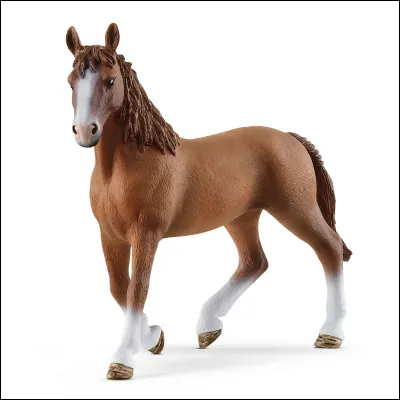 Le cheval blanc d'Henri IV était blanc.