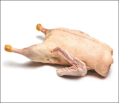 Le canard est la femelle de la cane.