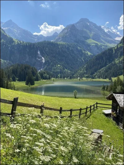 Quel est ton idéal dans la vie ?