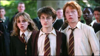 Tu entends le mot "Moldu", tu penses à :