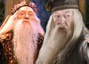 Test  combien de % ressembles-tu  Dumbledore ?