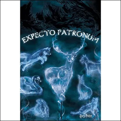 Tu veux un Patronus...
