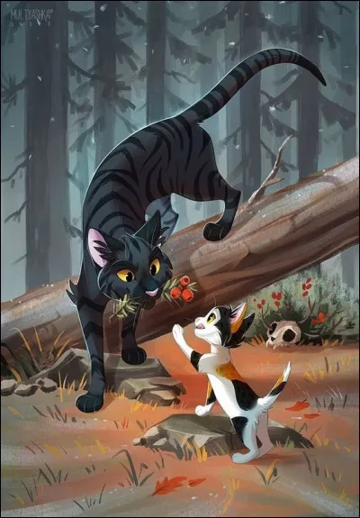 Voici une image : mais qui sont ces chats ?