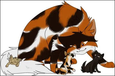 Comment s'appellent les chatons d'Ombre d'Érable ?